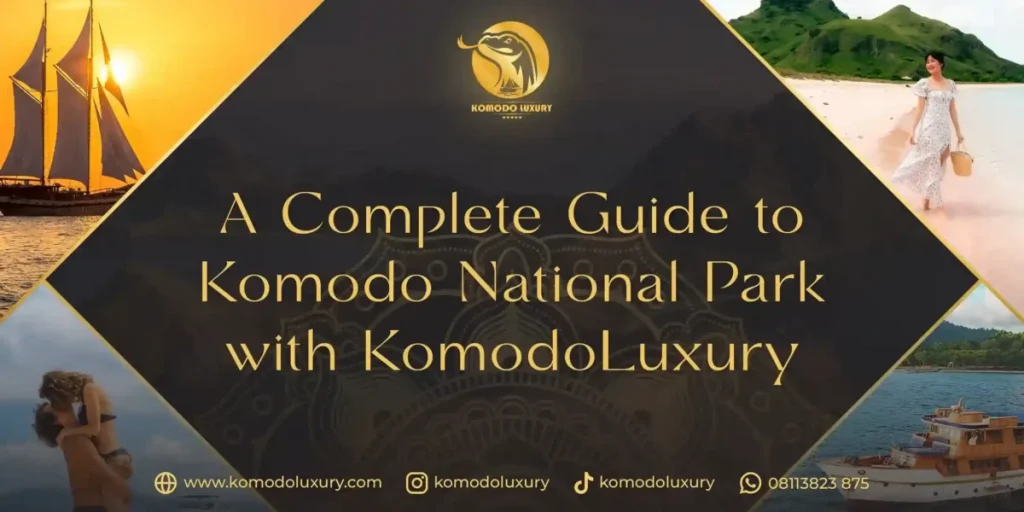 Komodo Fast Track Service